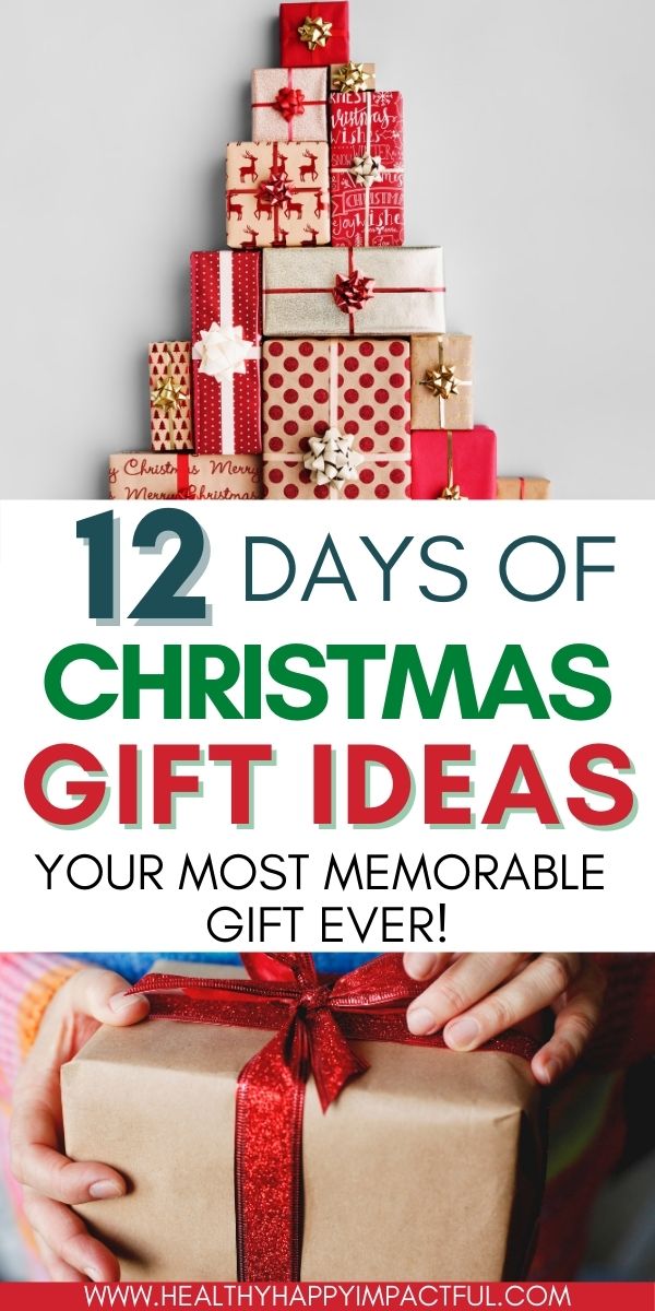 funny and fun 12 days of Christmas gifts for family pin