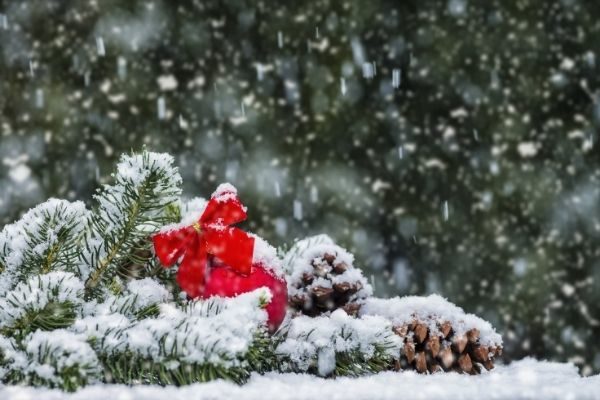 12 days of Christmas self care: get out in nature