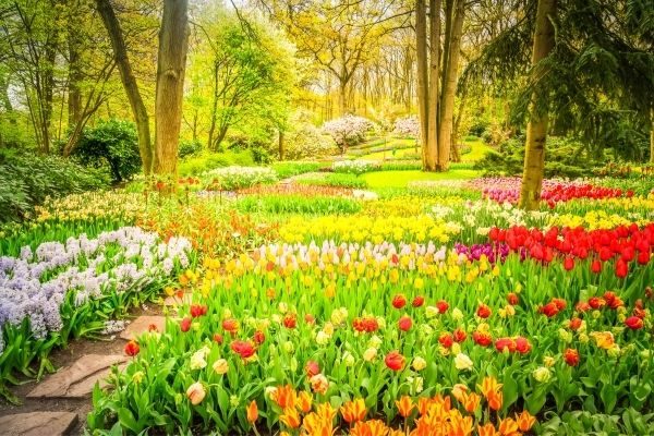 Unique family traditions - beautiful garden in spring