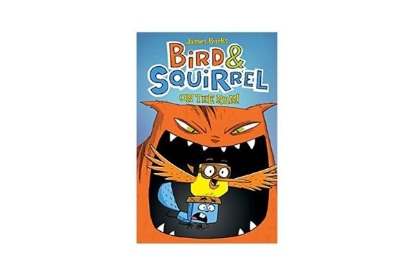 Bird & Squirrel: best 7 year old books are graphic novels