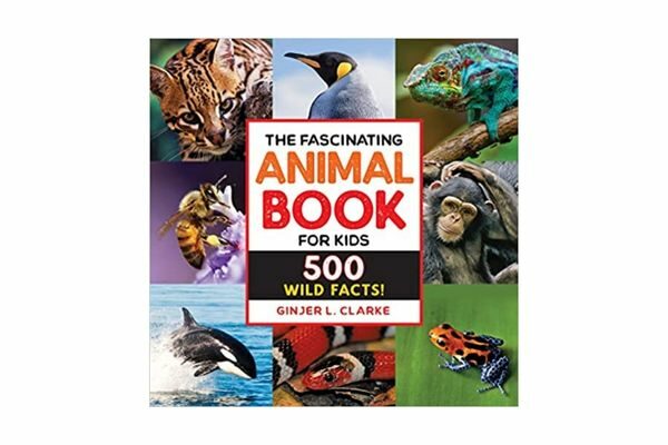 Fascinating Animal Book: Educational books for 6 year olds to read themselves