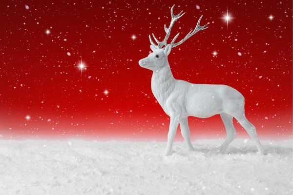 reindeer by the stars