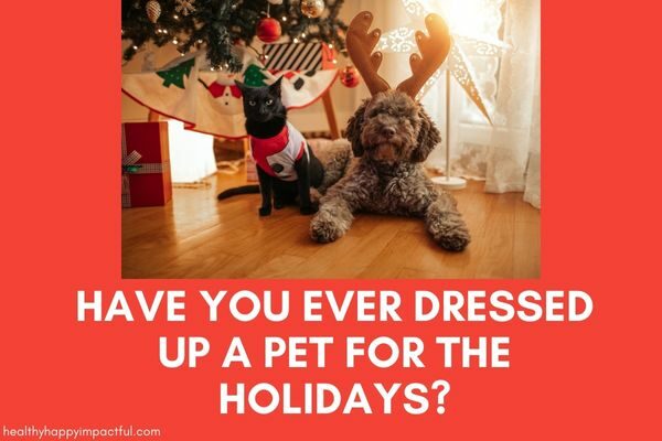 Have you dressed up a pet? good holiday icebreaker questions for Christmas parties; funny; list of