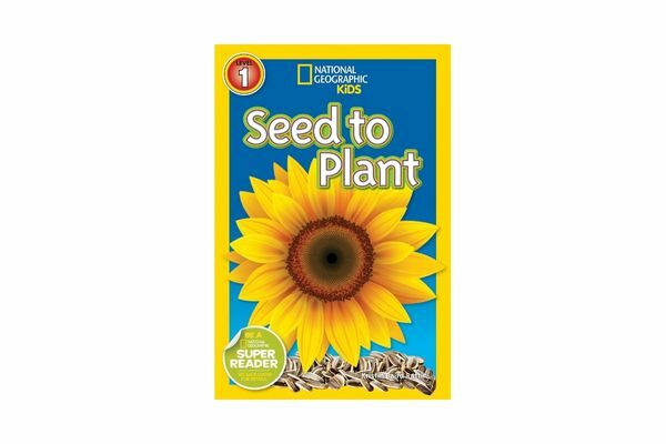 Seed to Plant; nonfiction books about spring and flowers
