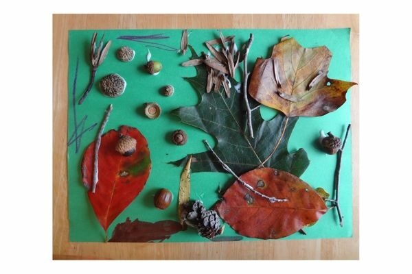 collage of leaves, nuts, nature items