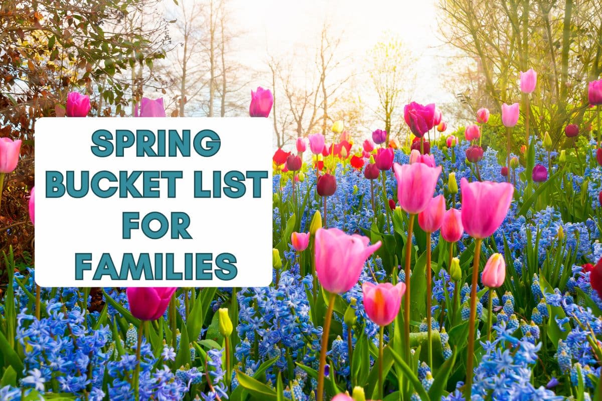 Spring bucket list ideas and activities for kids and adults in 2024; families