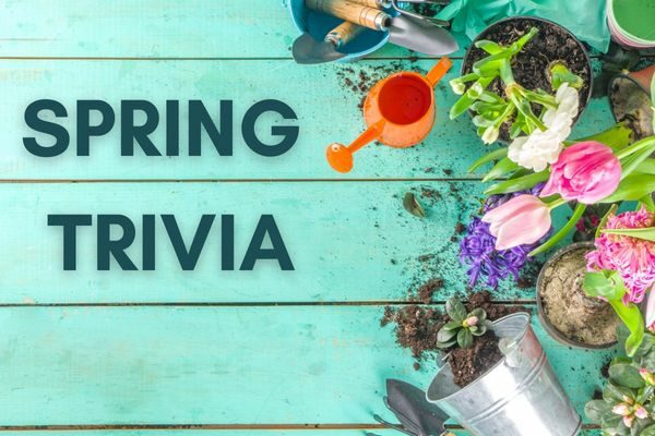 spring trivia questions and answers; fun facts