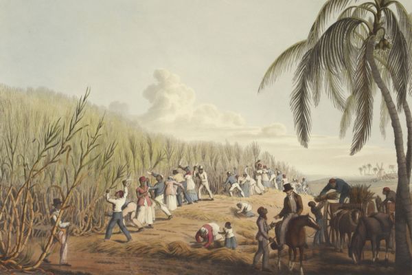 picture depicting slavery