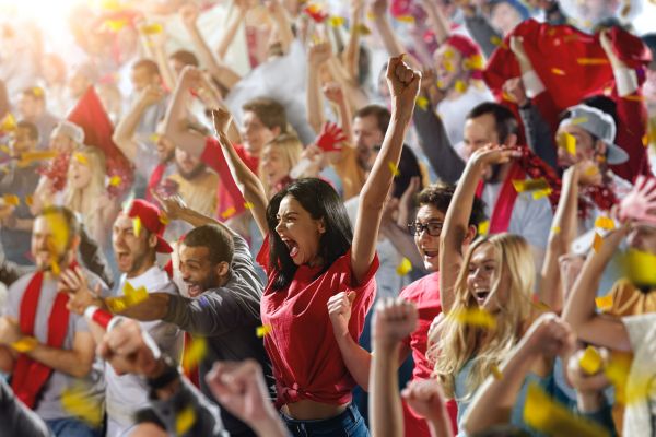 people cheering in a sports stadium