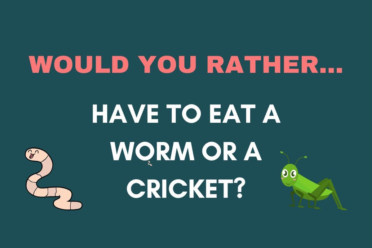 would you rather food questions for students