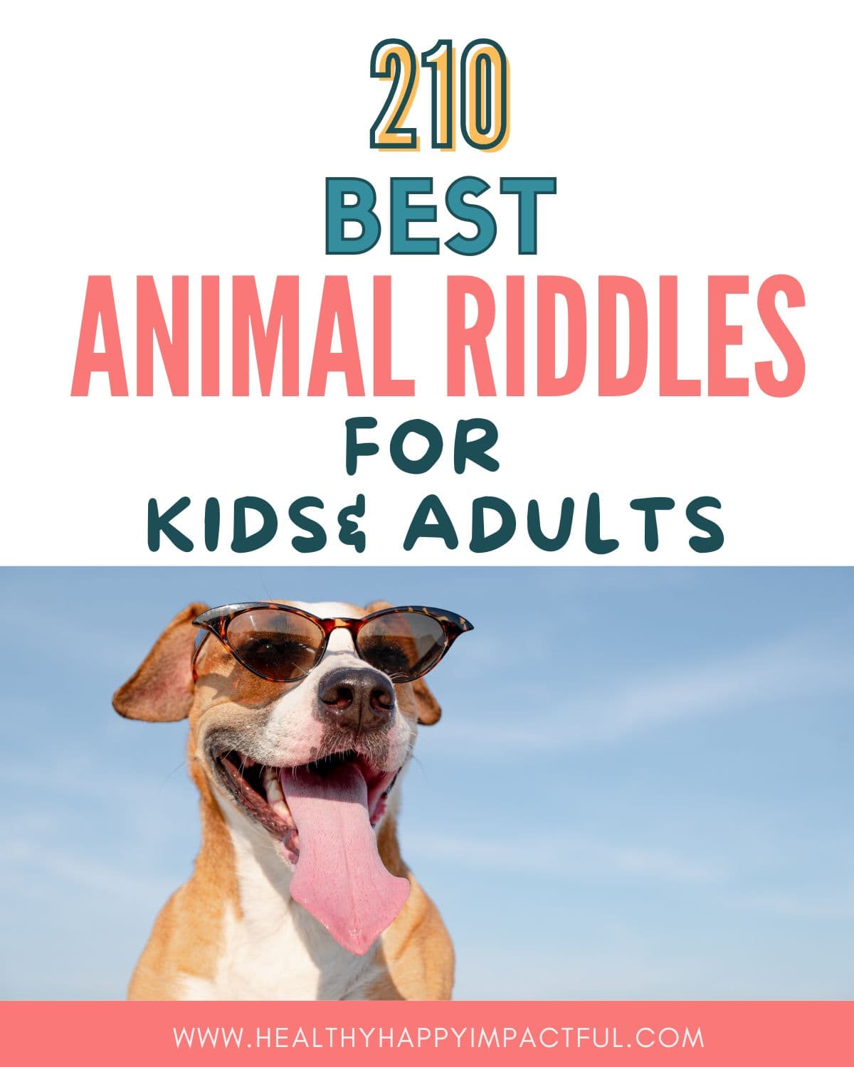 title pin; good animal riddles with answers for kids and adults