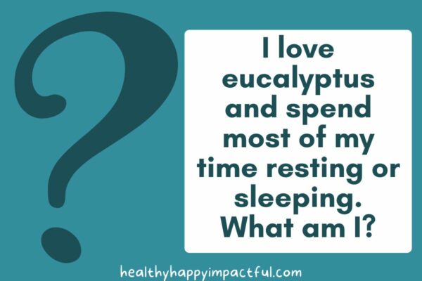 210 Exciting Animal Riddles For Kids & Adults in 2026