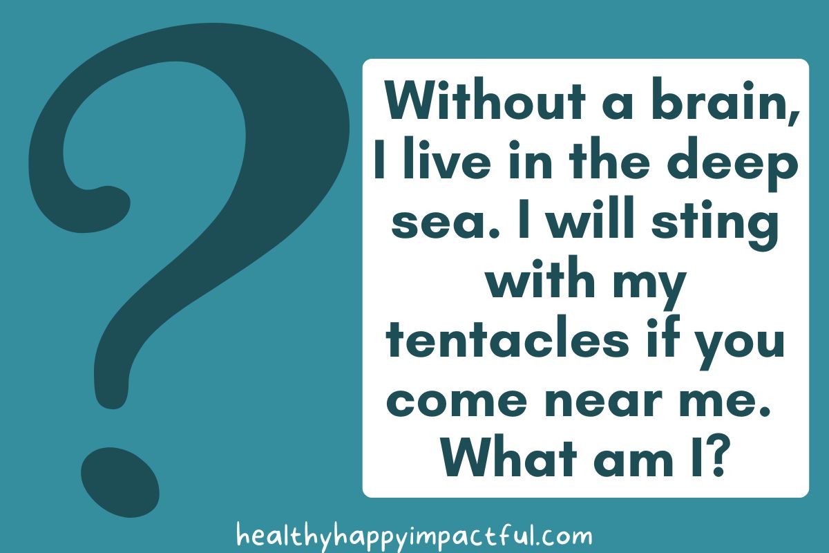 210 Exciting Animal Riddles For Kids & Adults in 2024