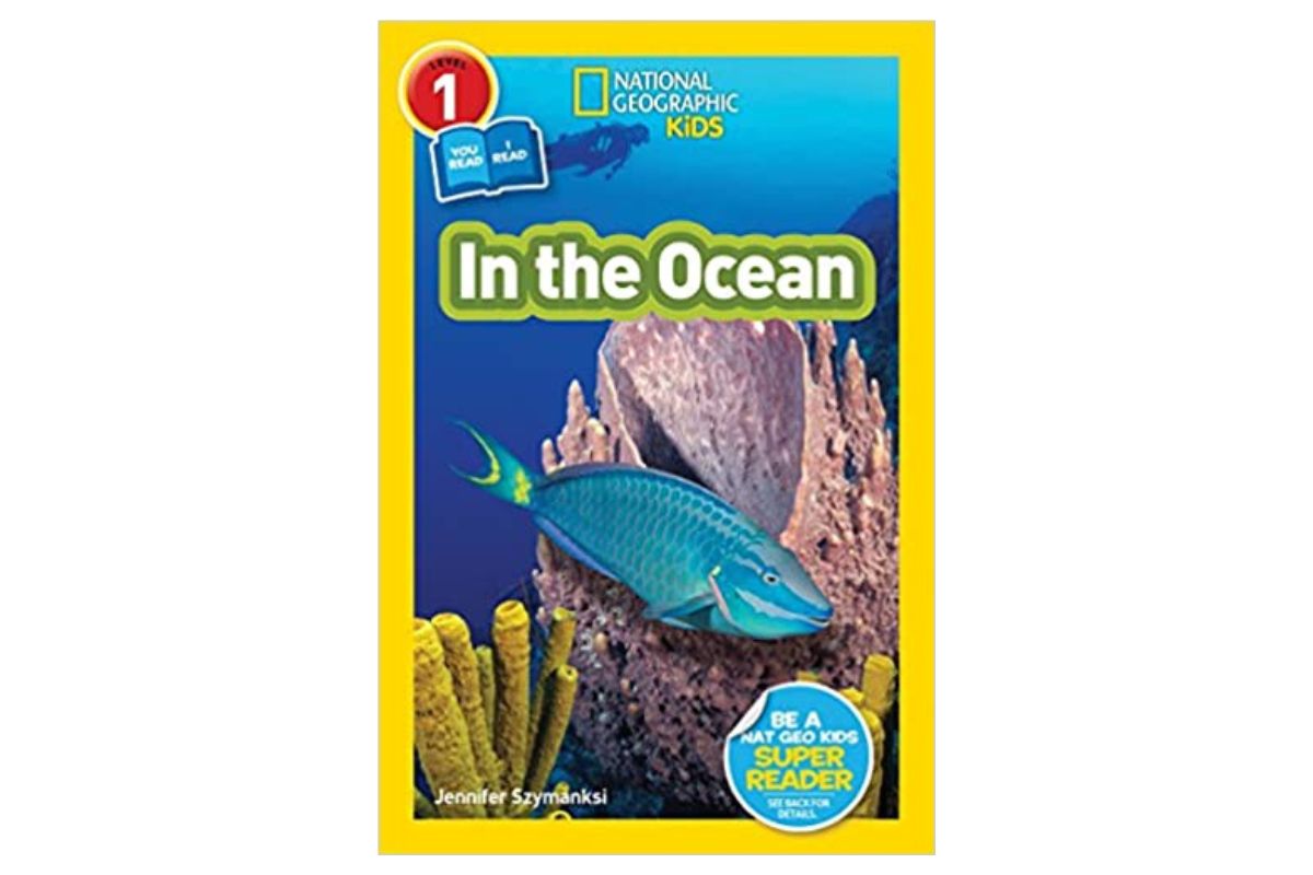 In the Ocean summer bridge books for kids
