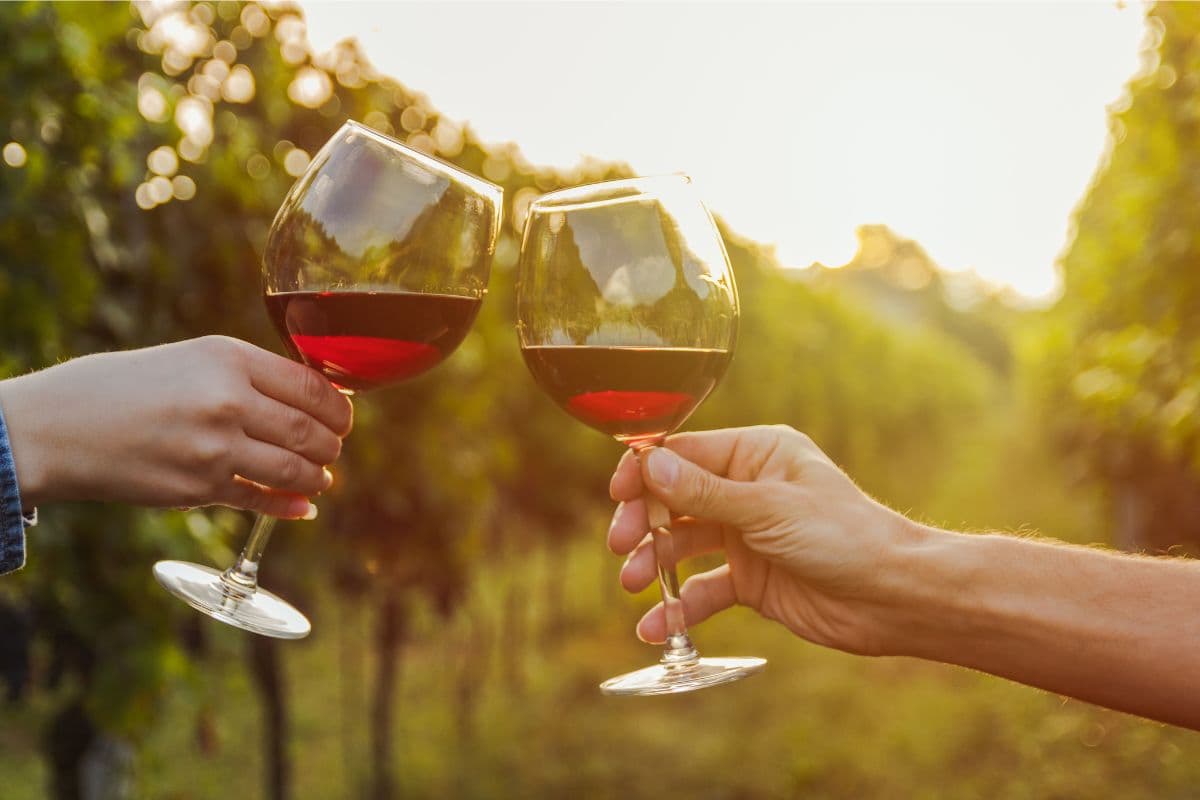 couples with wine glasses in vineyard