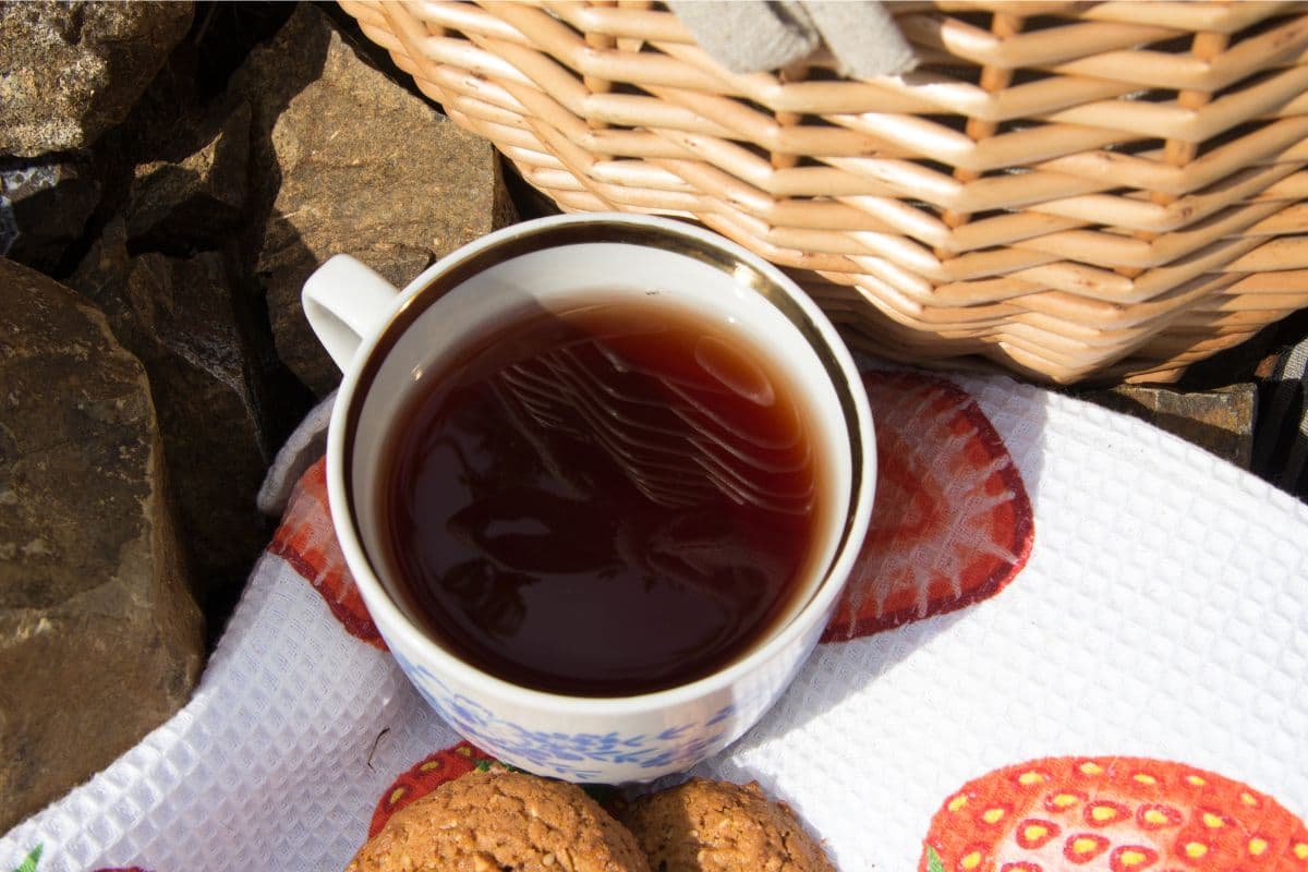 coffee picnic; cute date ideas