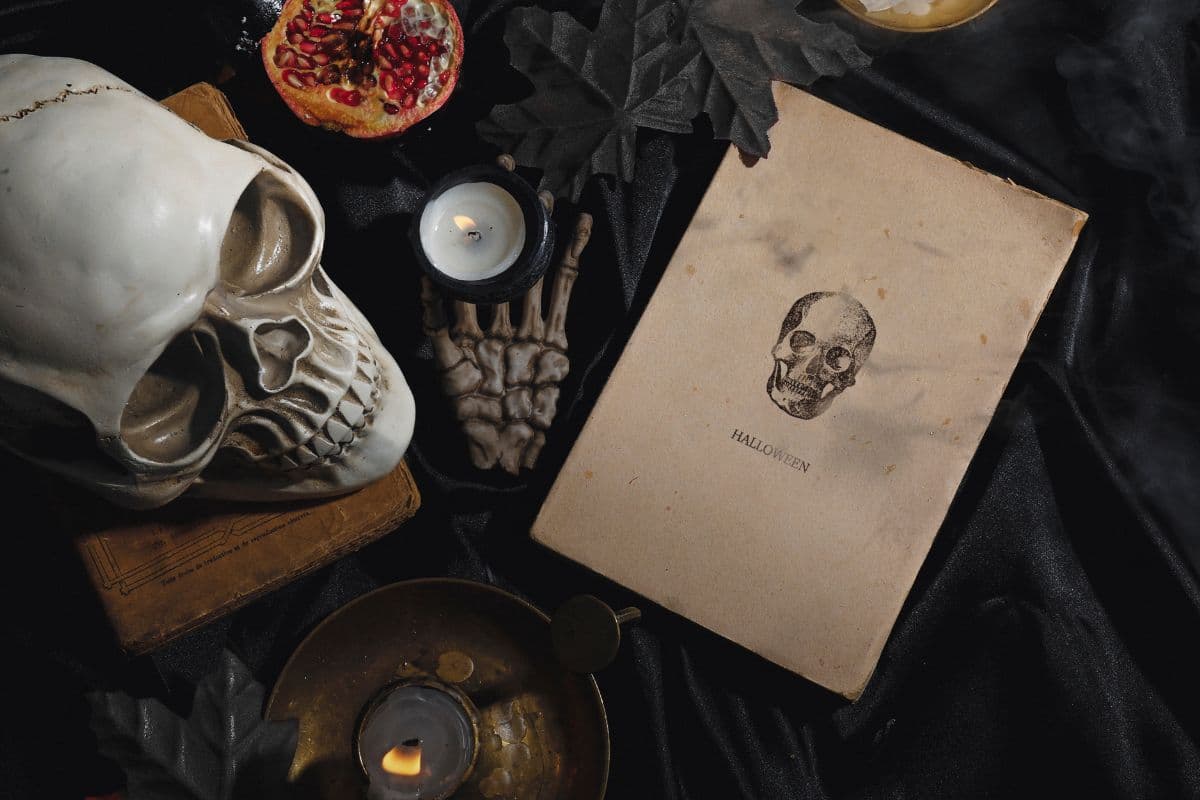 skull and book