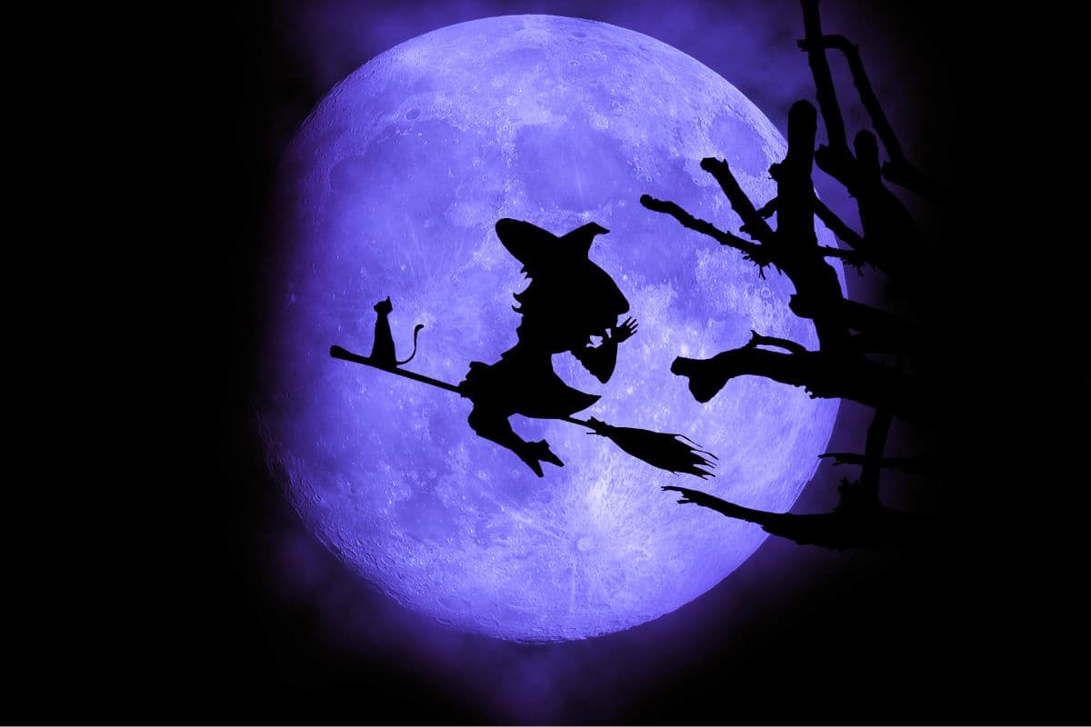 witch and cat flying on a broom across the moon