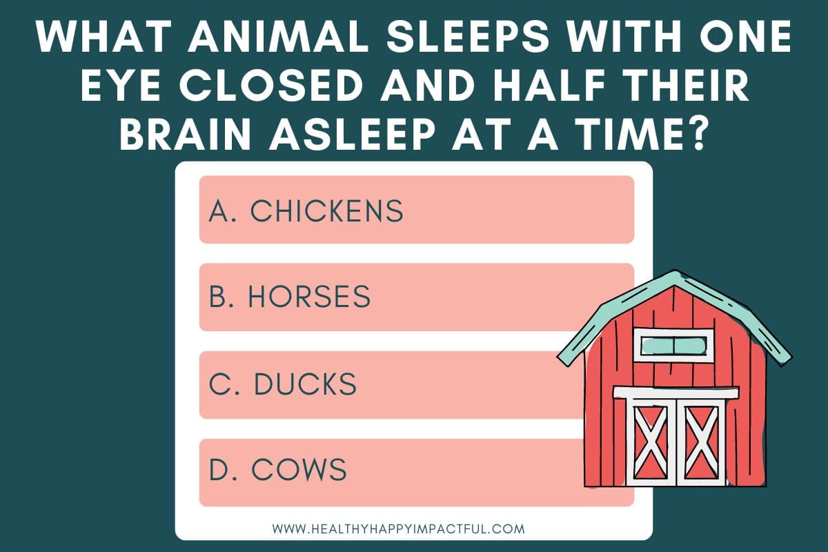 multiple choice farm animals trivia quiz