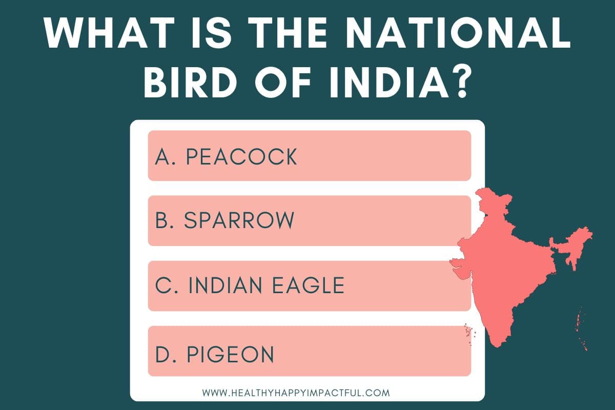 unique animal trivia questions and answers multiple choice, birds