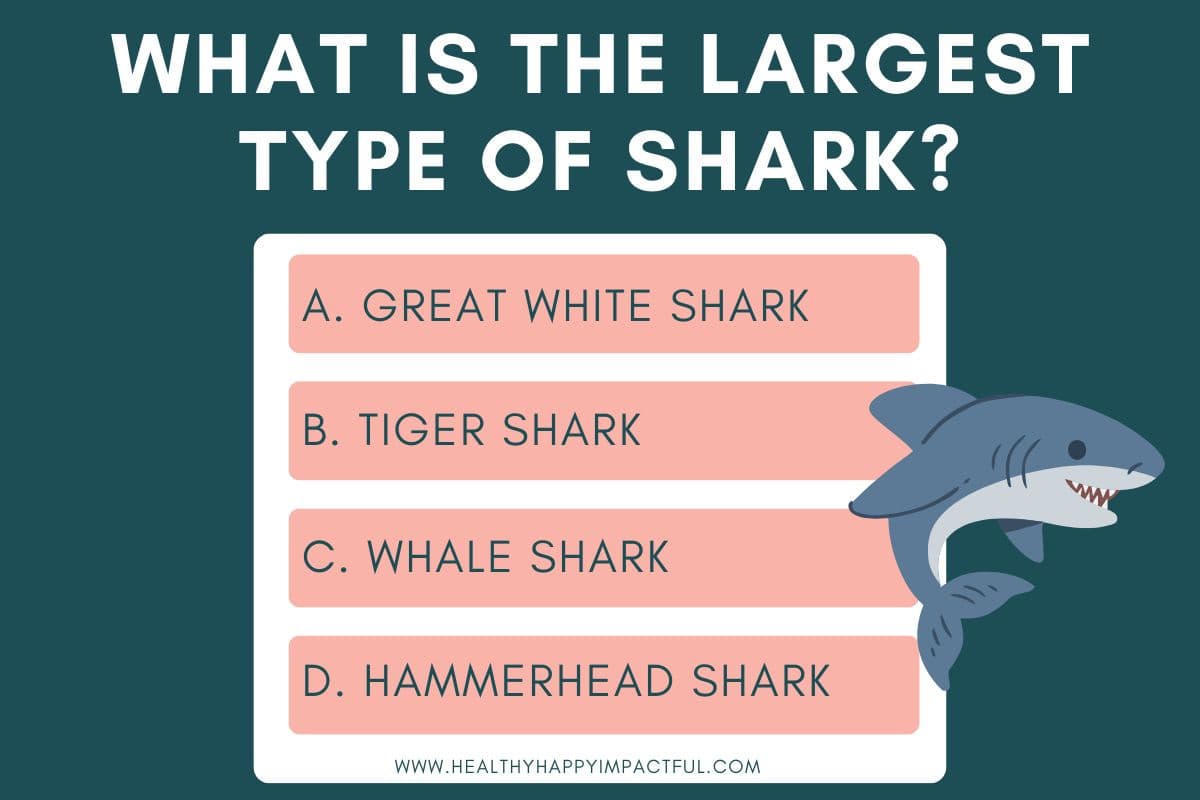 multiple choice trivia quiz about ocean animals