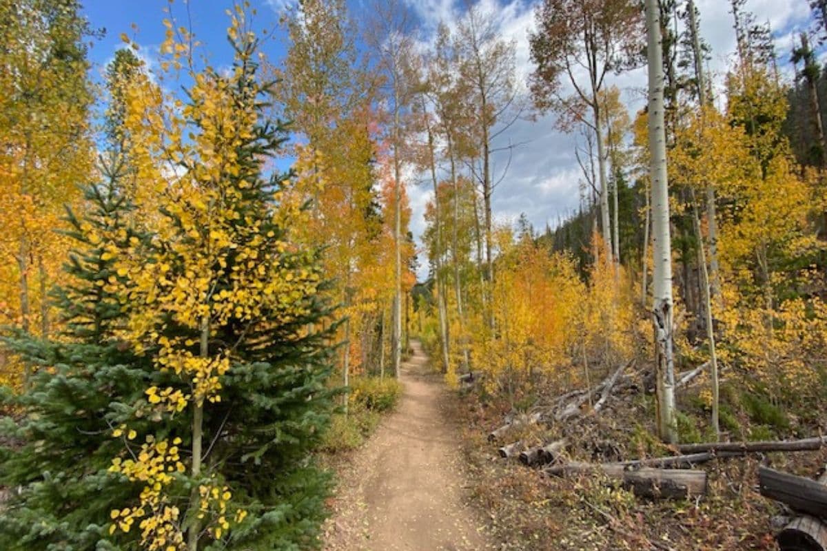 Hiking trail; Cute fall bucket list for moms and adults in 2023