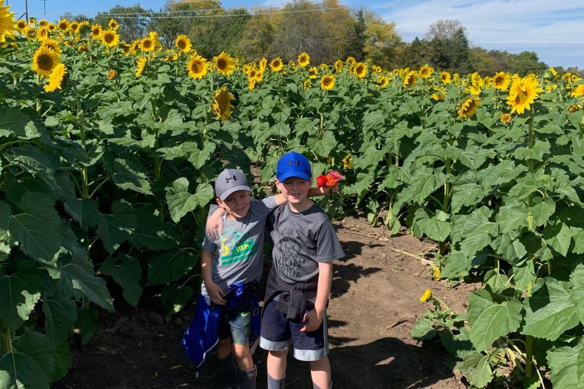boys in sunflower field; Fall bucket list 2023, ideas for going places