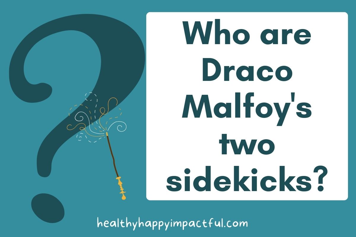 Draco Malfoy's two sidekicks?