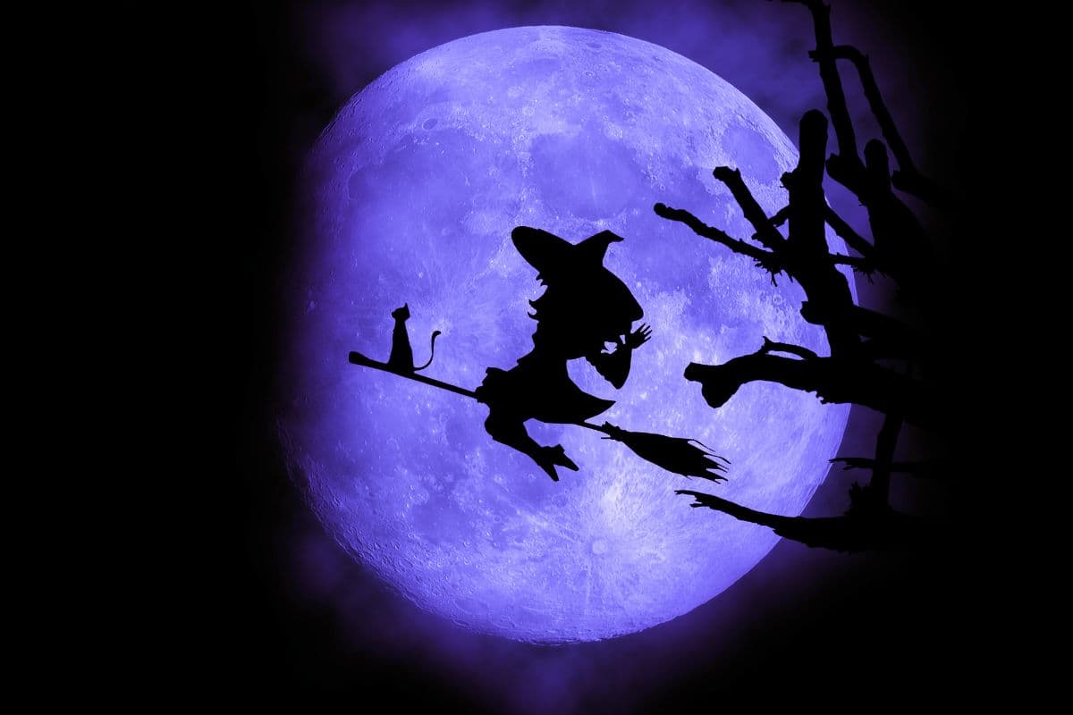 cat and witch flying on broom by moon
