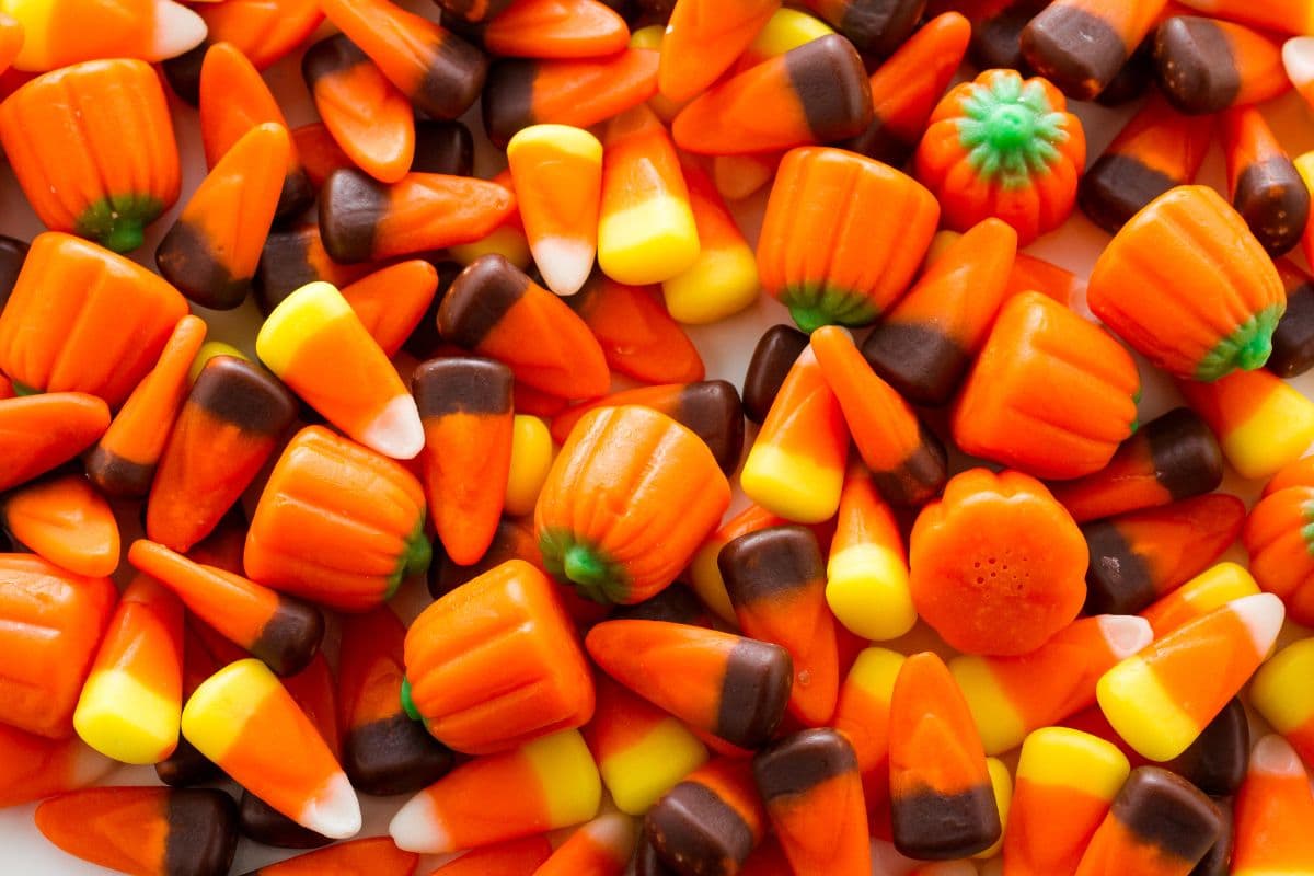 pile of candy corn and candy pumpkins