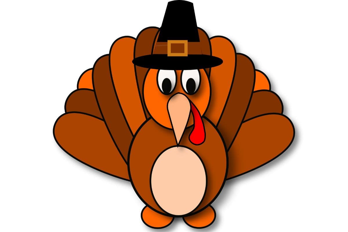turkey image