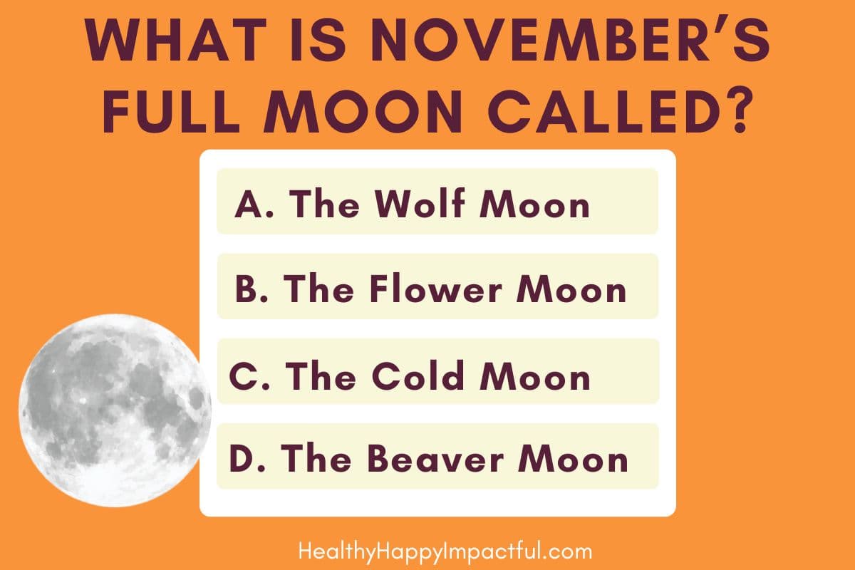 multiple choice November trivia questions quiz