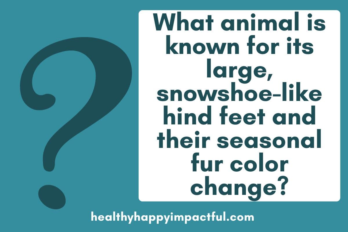 funny winter animal trivia quiz, fun facts