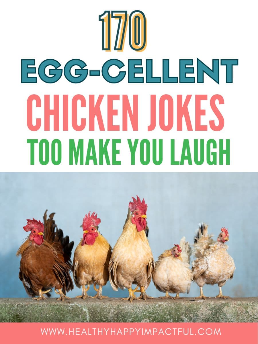 title pin; egg-cellent funny chicken jokes