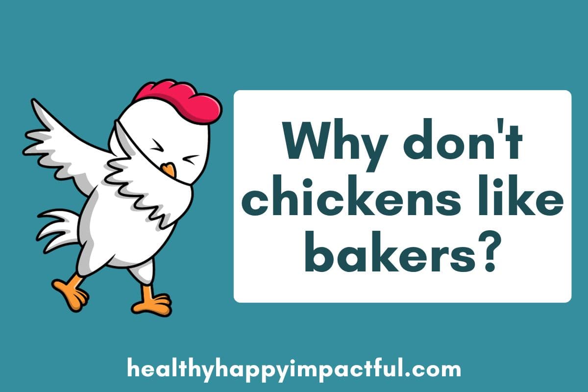 chicken jokes, puns, riddles, oneliners; for adults; dad; best