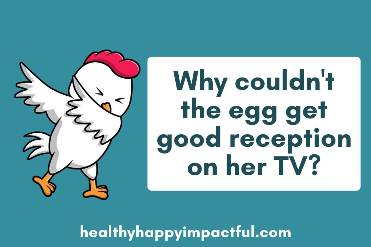 egg jokes; chicken coop; silly; one liners