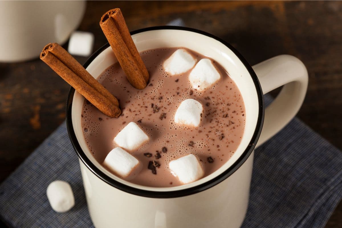 hot chocolate in a mug