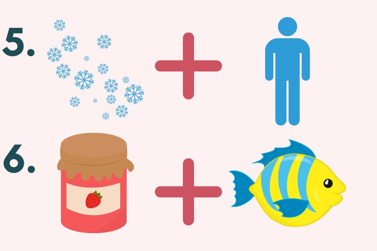 snowmen and jelly fish picture quiz