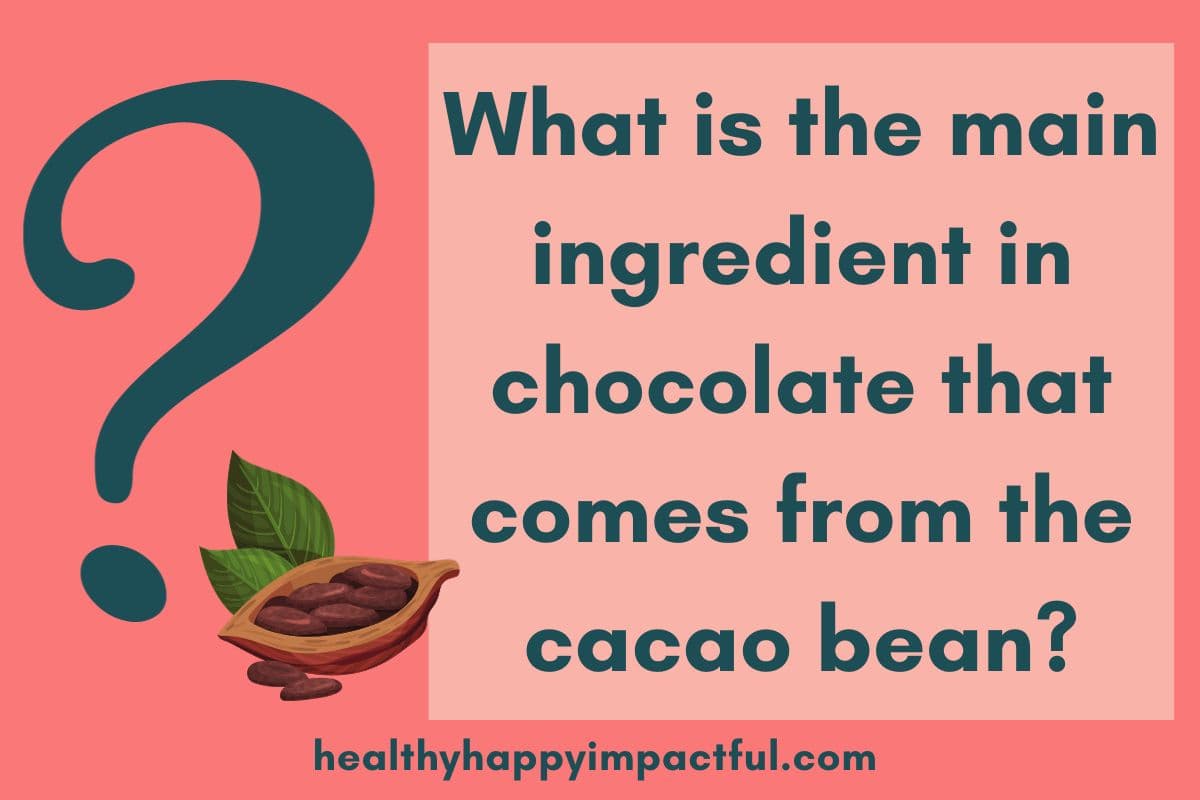candy bar trivia