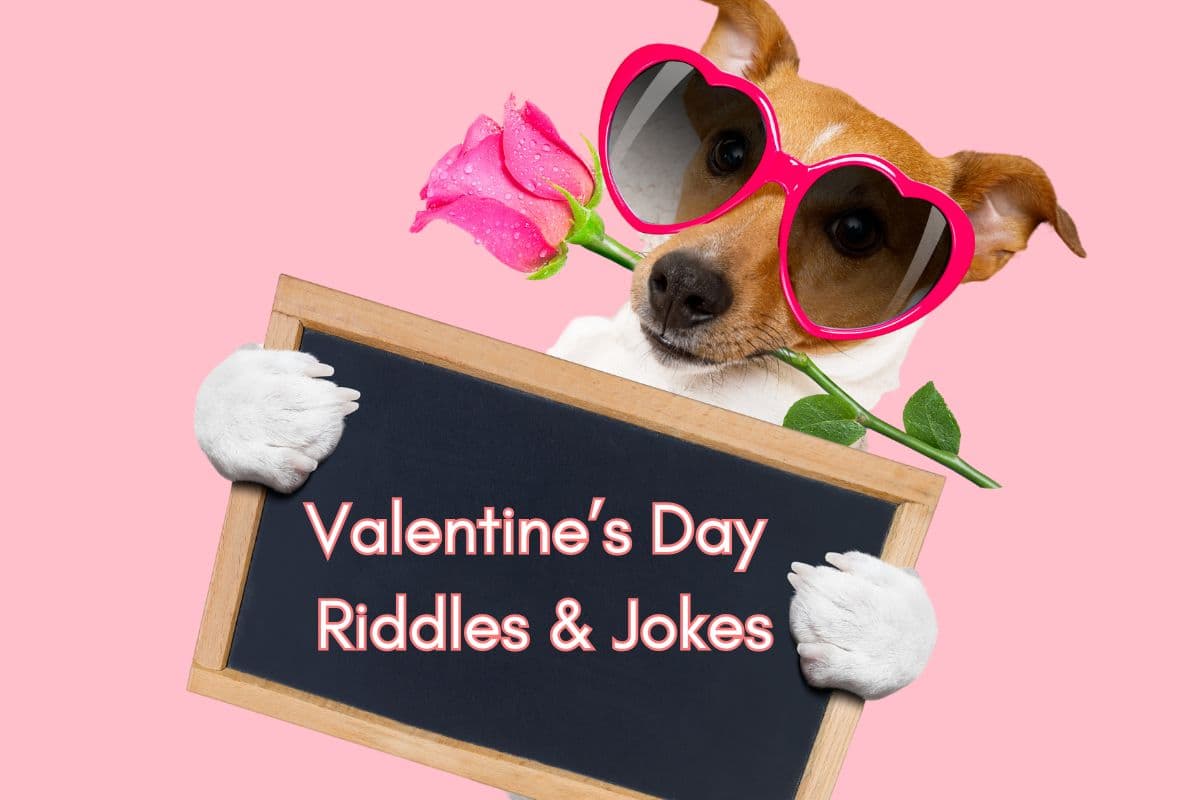 funny Valentine's day riddles, jokes and puns