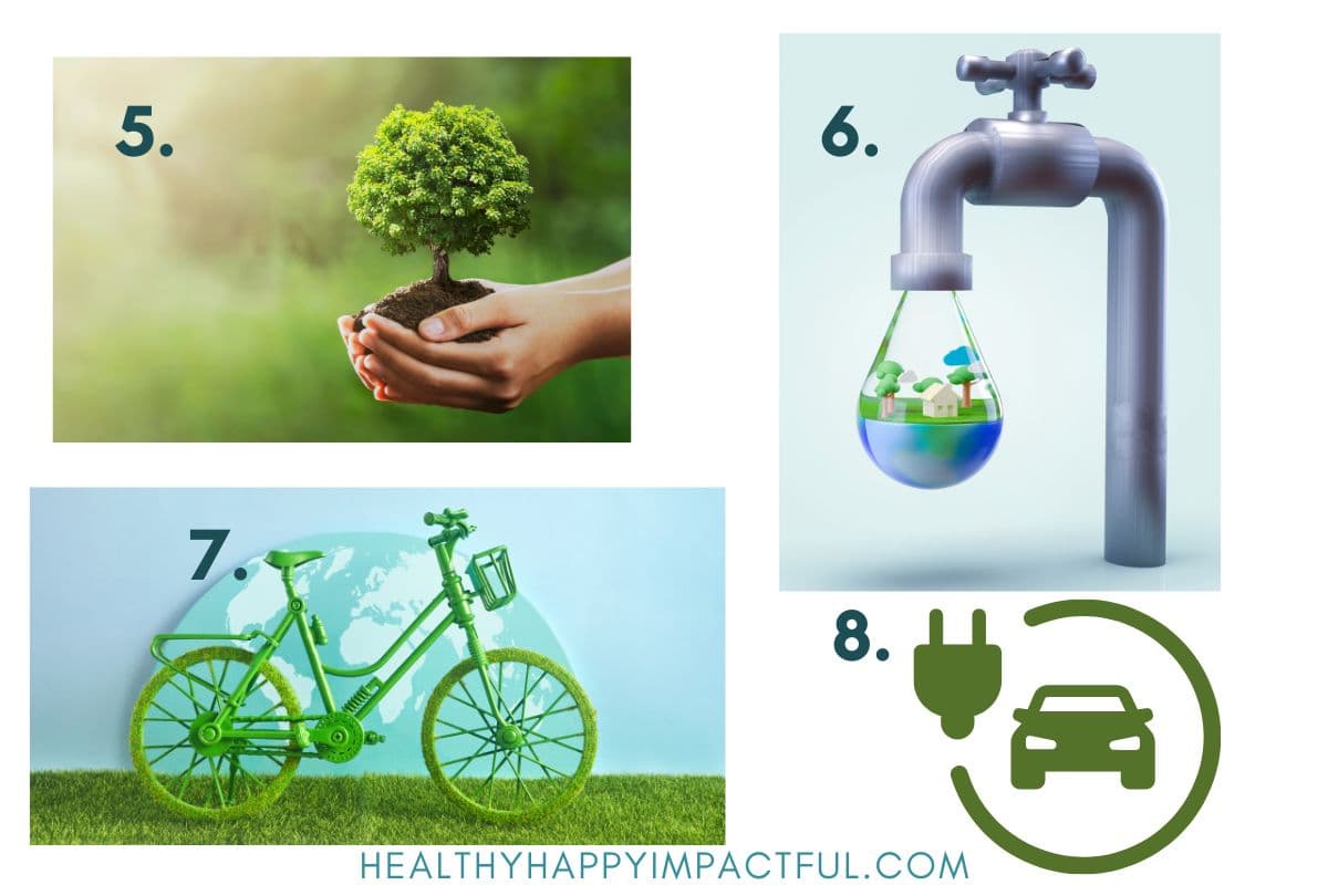 fun Earth day trivia quiz pictures with answers