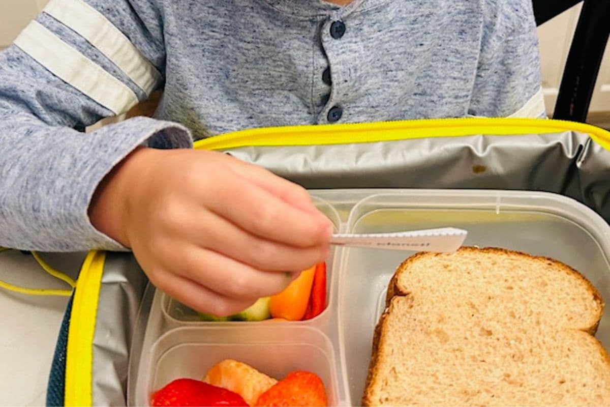 Lunch box jokes; Christmas; Halloween; Easter; Thanksgiving; Fall