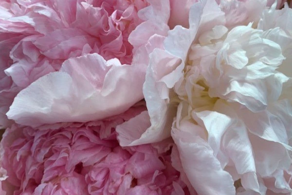 Spring self care challenge; april bucket activities for adults