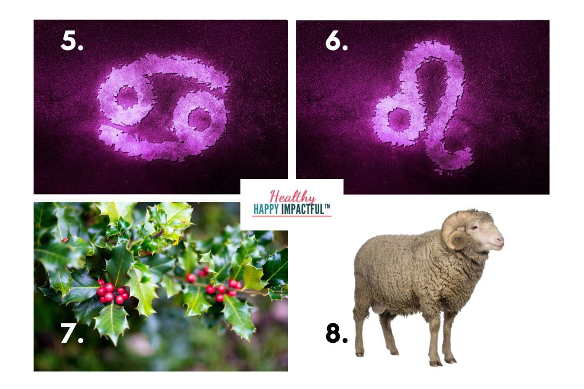 July picture symbols quiz