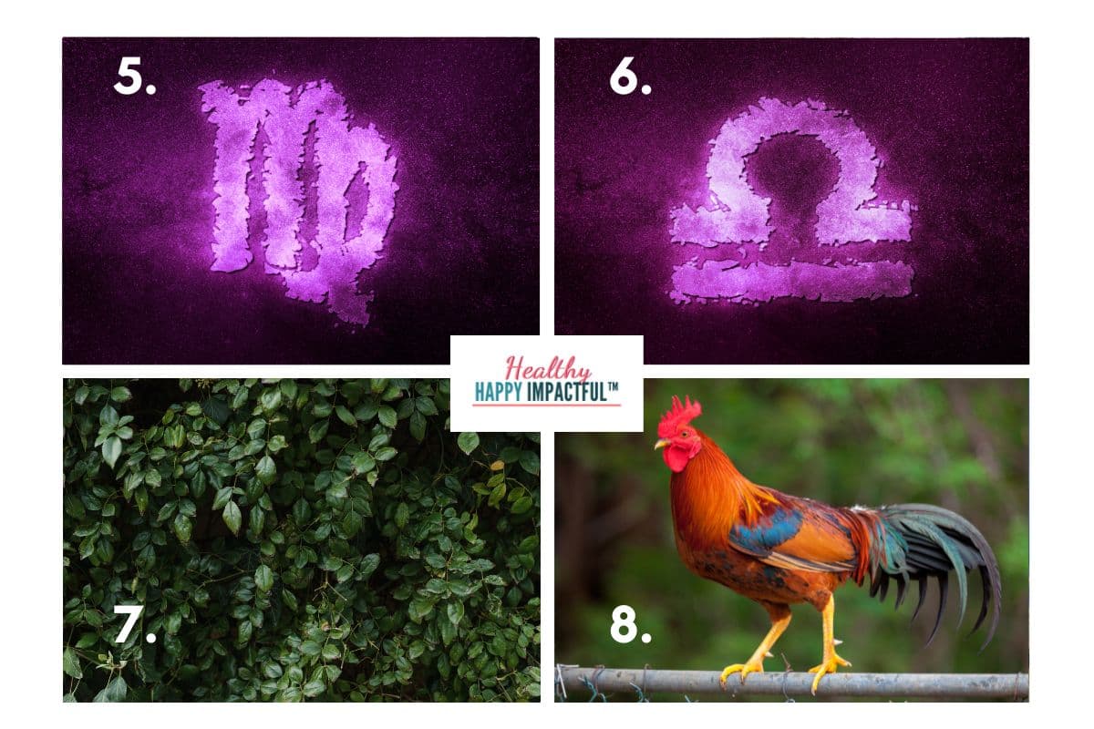 september symbols