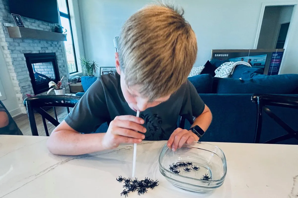 moving plastic spiders with a straw