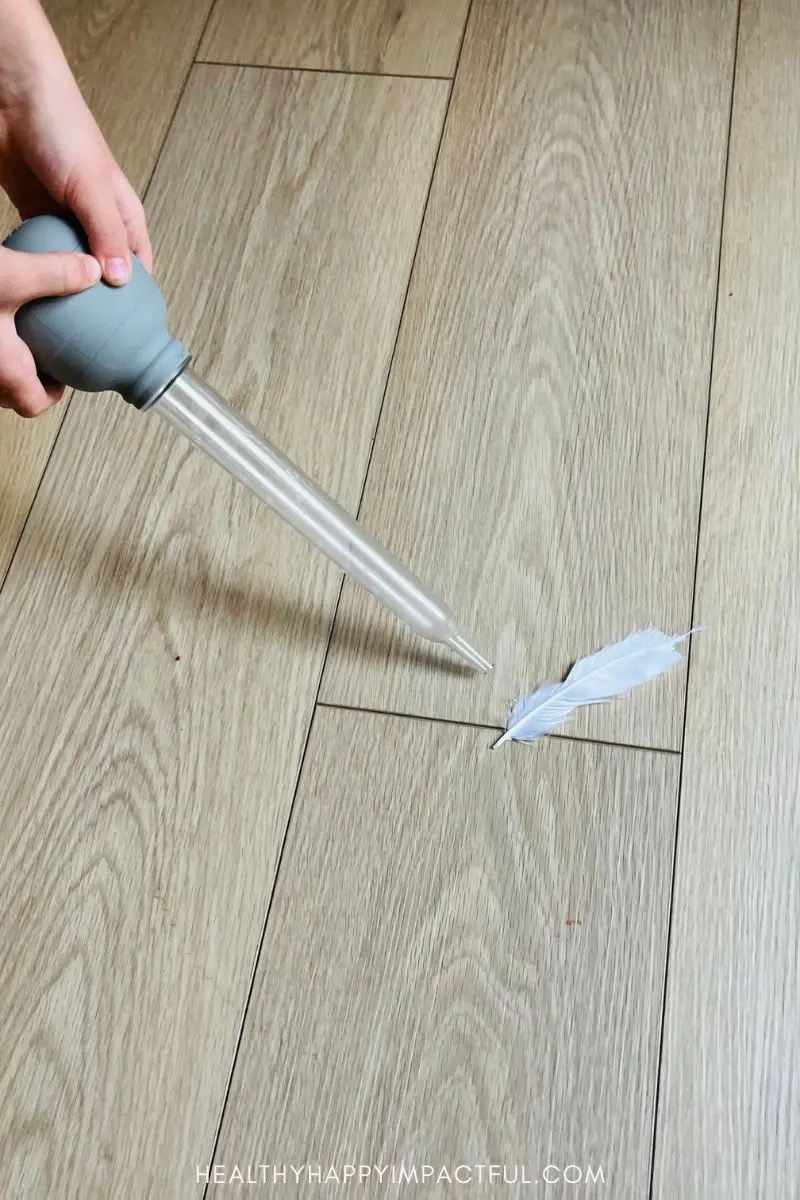 turkey baster and feather game