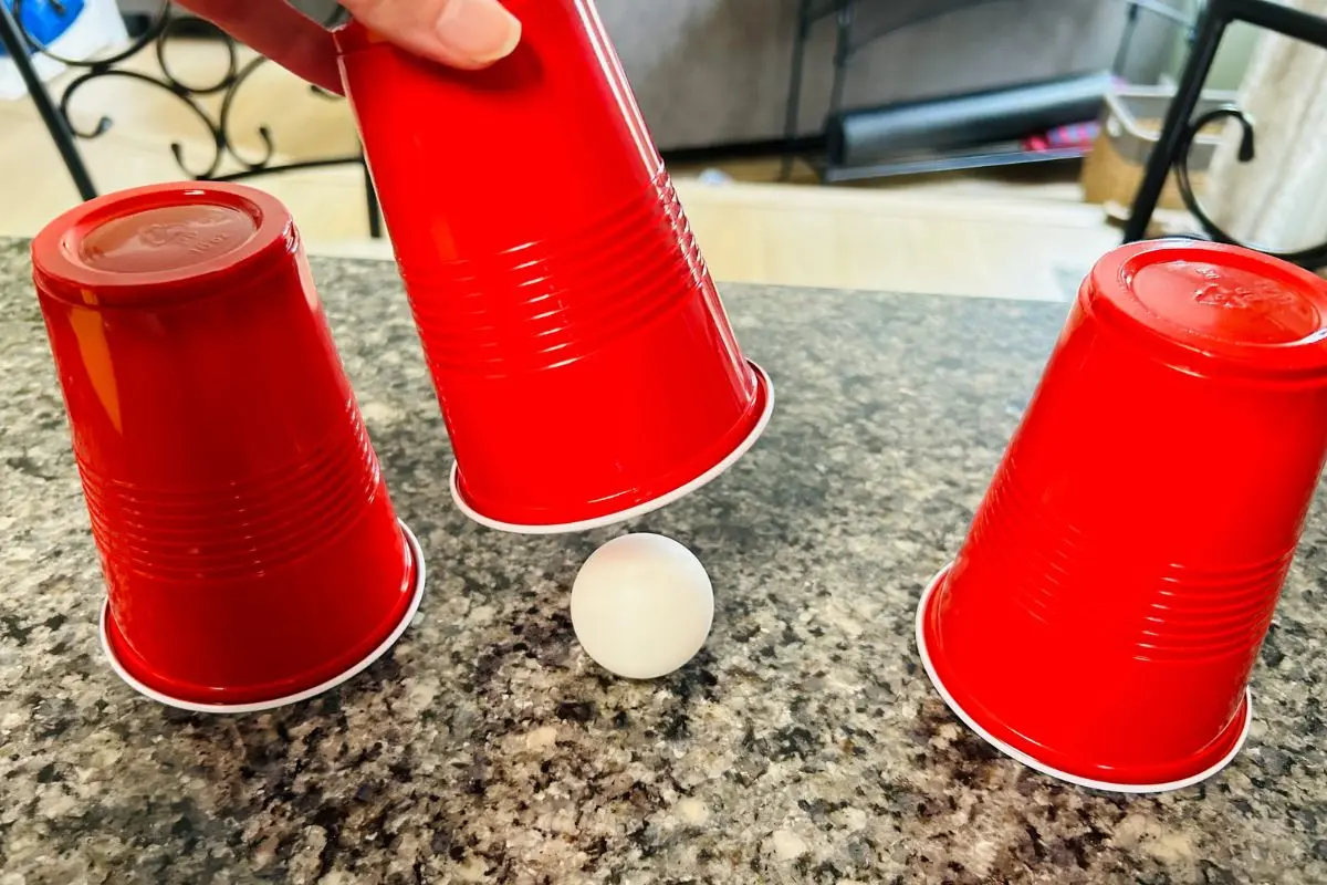 cup shuffle showdown