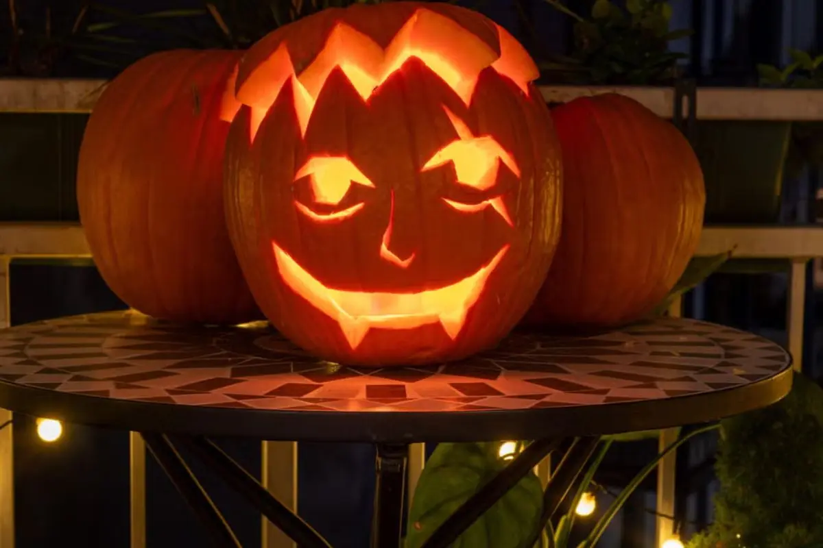 1 result Pumpkin carving ideas, vampire