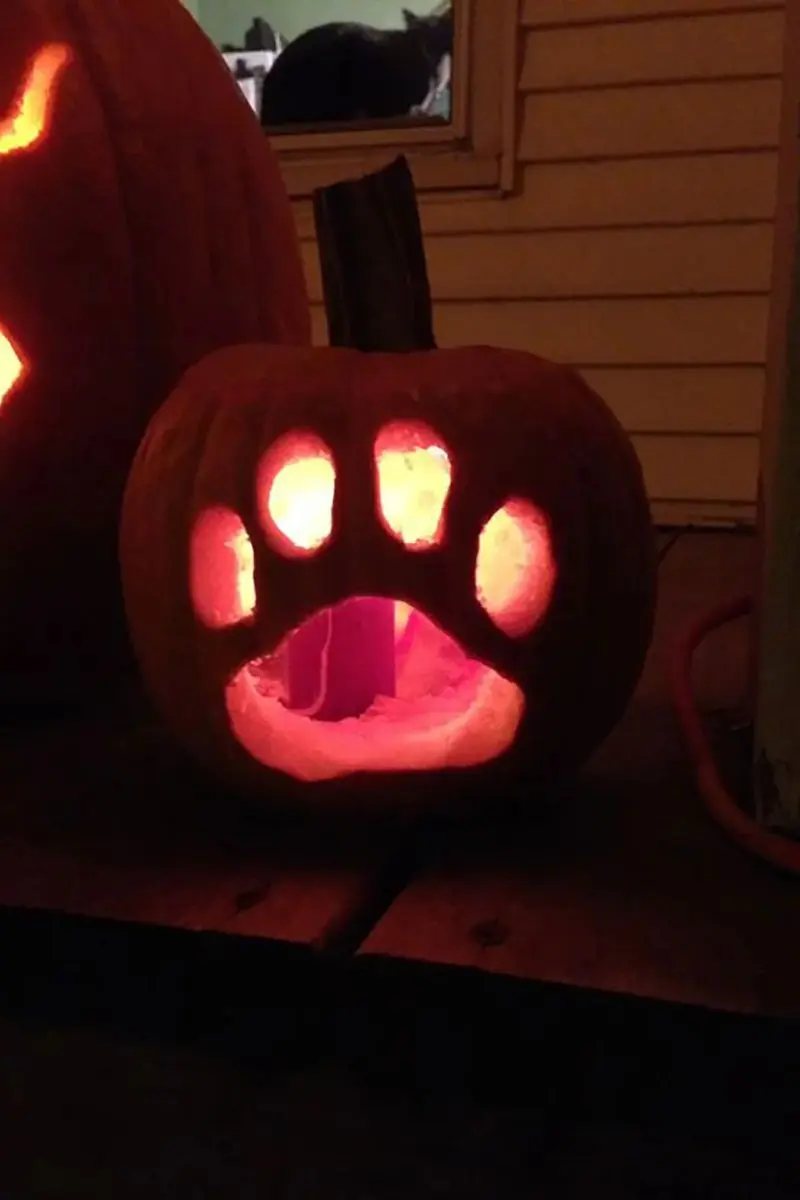 6 result 1 easy pumpkin carving ideas, dog paw